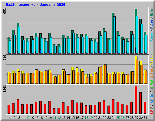 Daily usage for January 2020