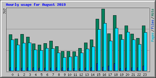 Hourly usage for August 2019