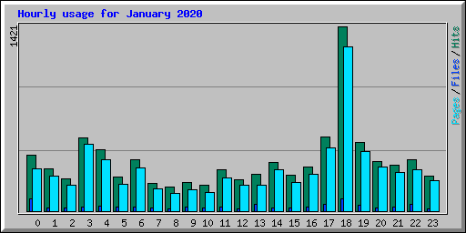 Hourly usage for January 2020