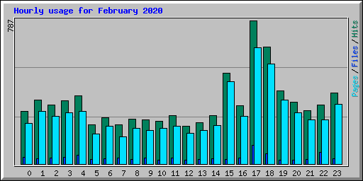 Hourly usage for February 2020
